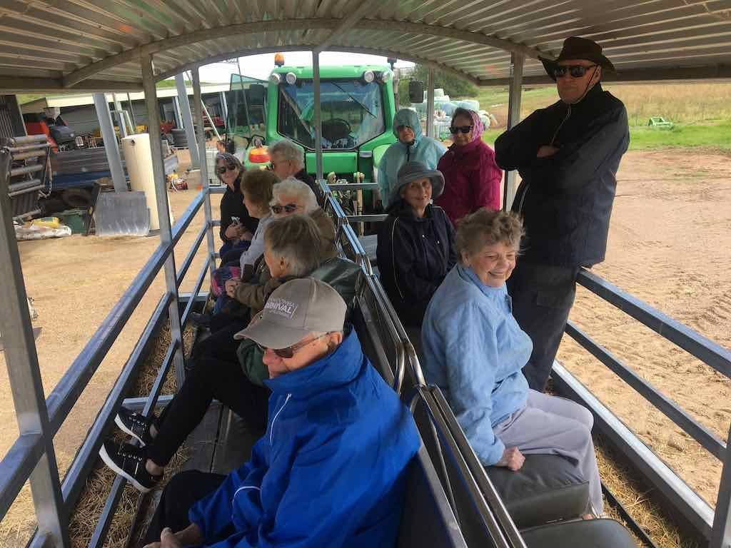 PDT Camel Farm - November 2022 Image -63632a6545404